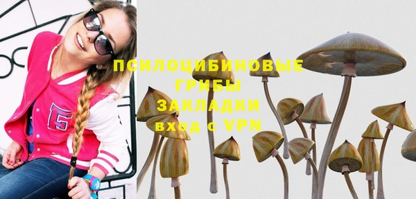 дживик Абинск