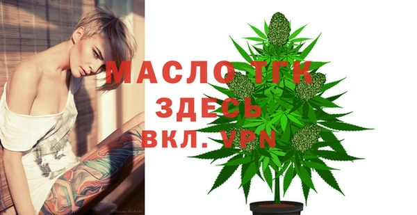 дживик Абинск