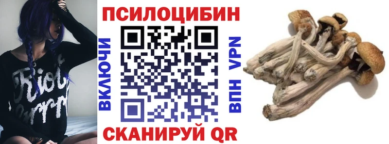 Псилоцибиновые грибы Psilocybine cubensis  Алдан 