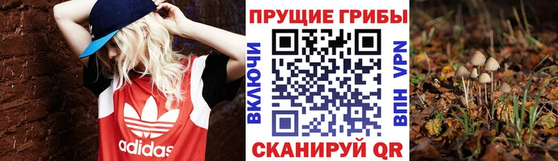 Галлюциногенные грибы MAGIC MUSHROOMS Алдан